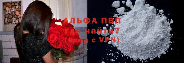 стаф Новодвинск